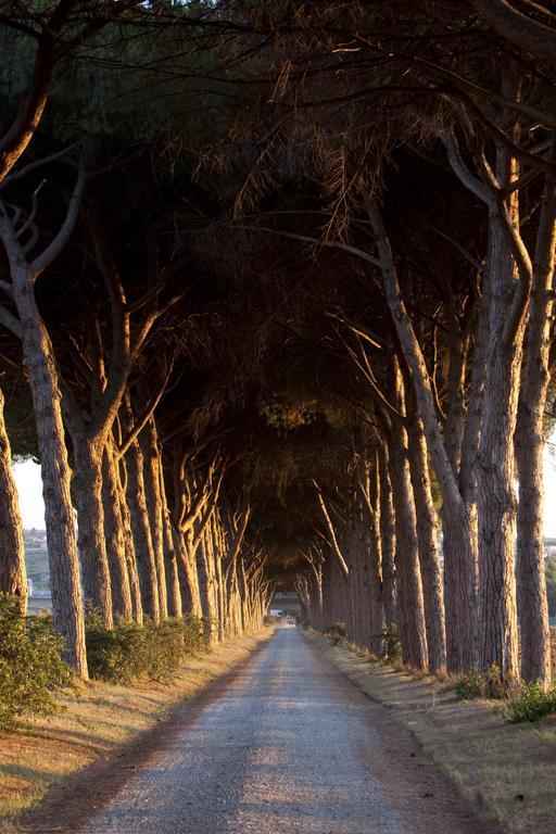 Agriturismo Pantano Borghese Monte Compatri Dış mekan fotoğraf