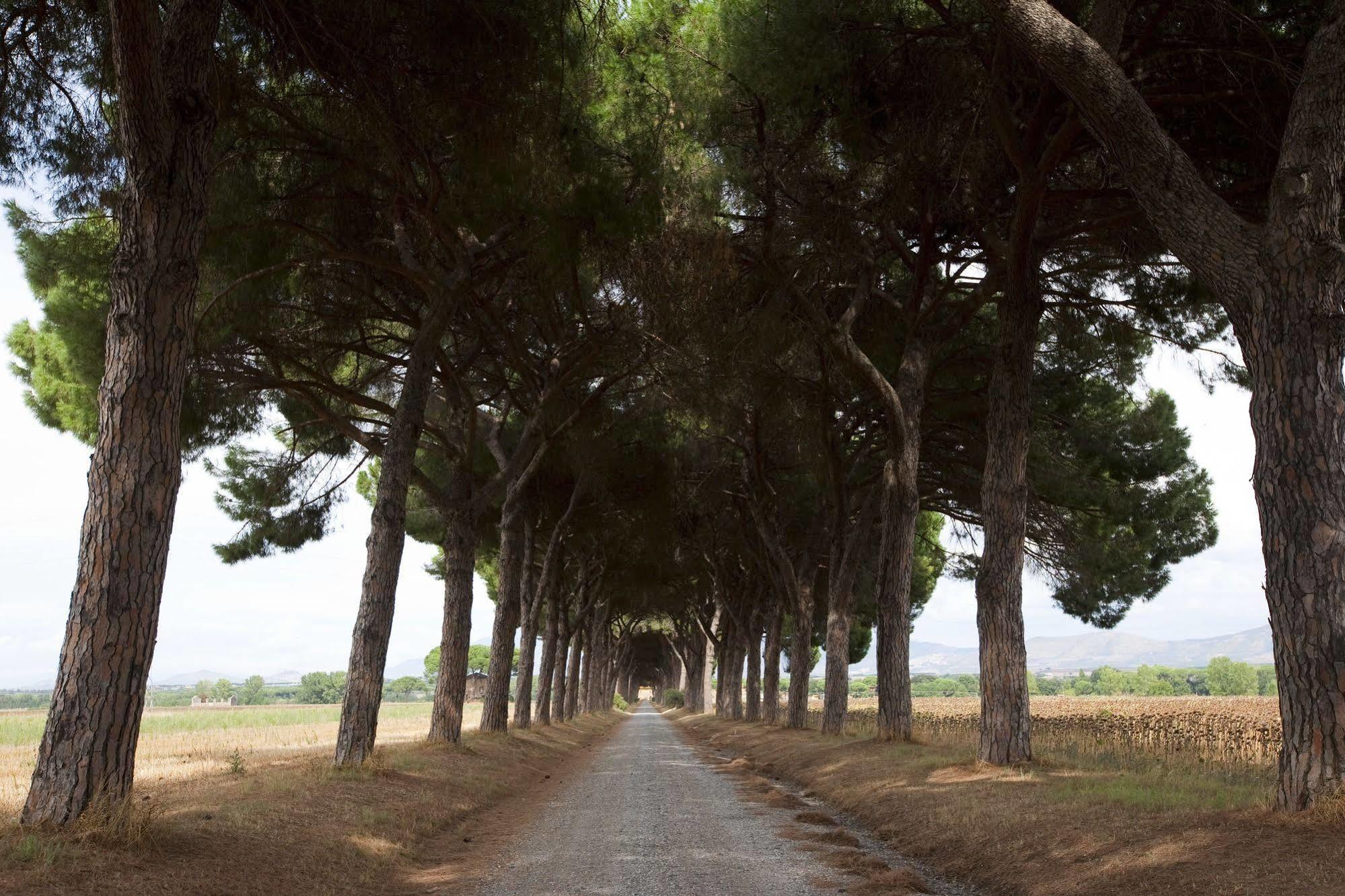 Agriturismo Pantano Borghese Monte Compatri Dış mekan fotoğraf